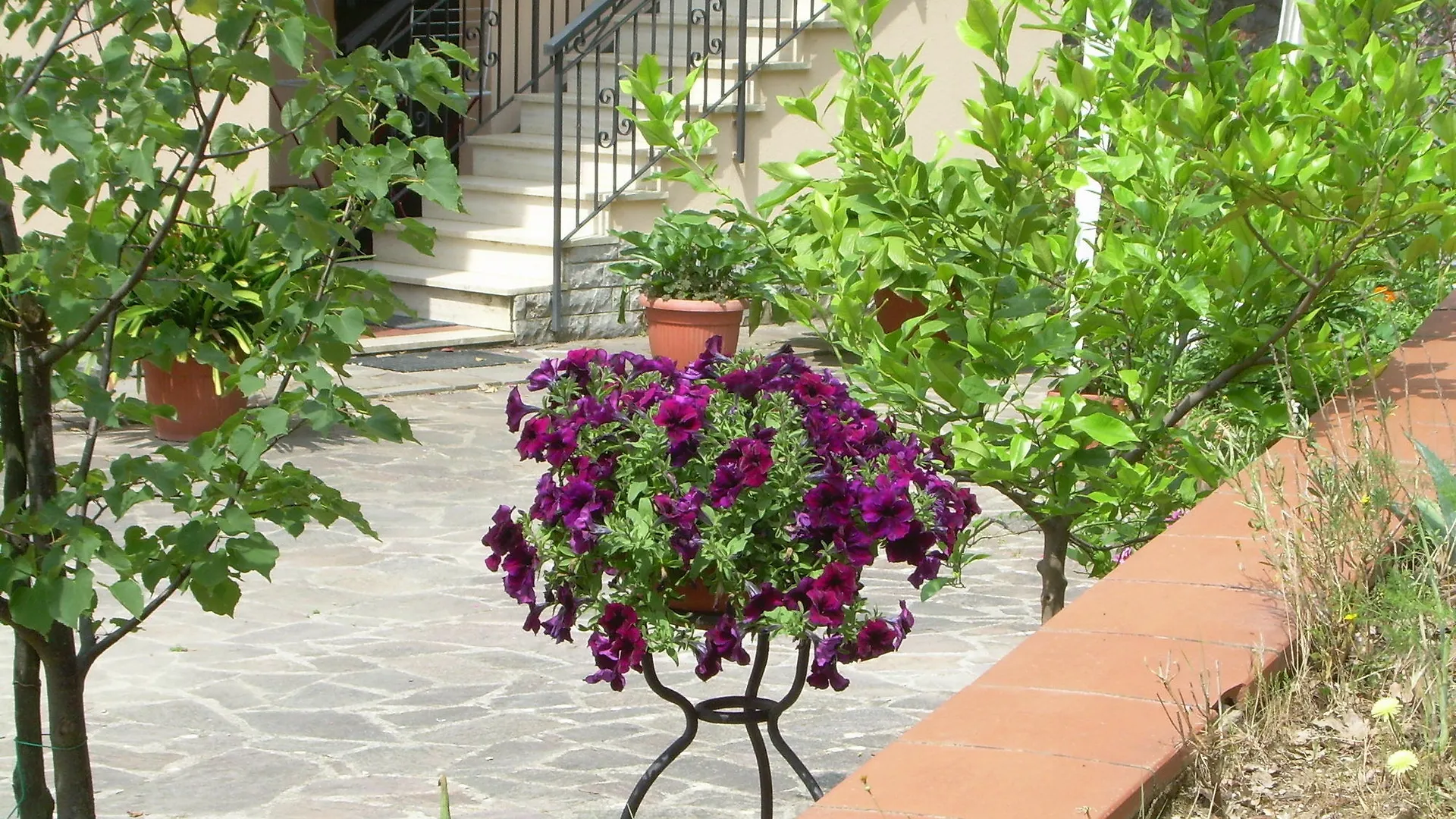 Hotel Agriturismo Crocino In Chianti Gaiole in Chianti