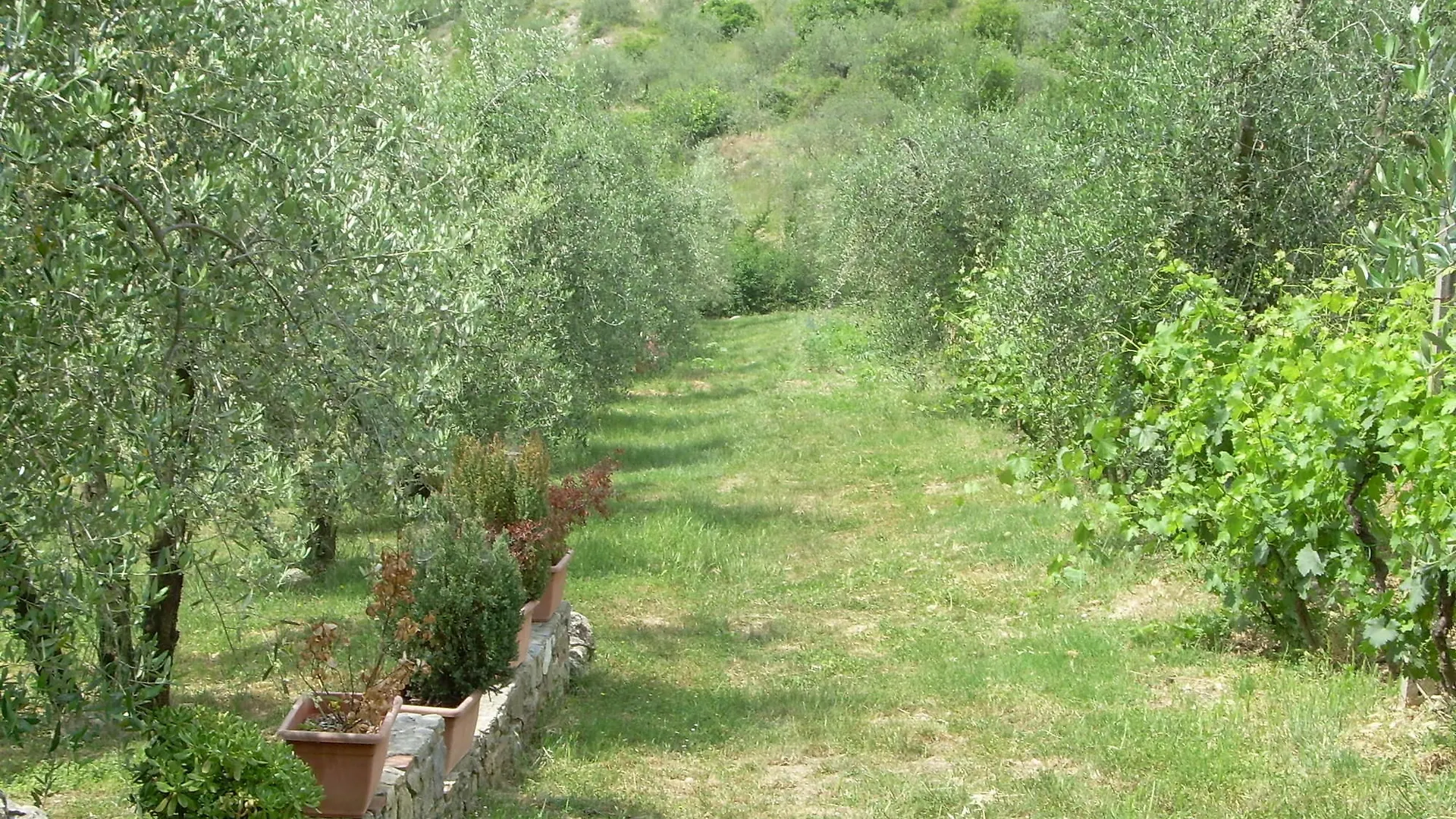 Agriturismo Crocino In Chianti Gaiole in Chianti 3*,